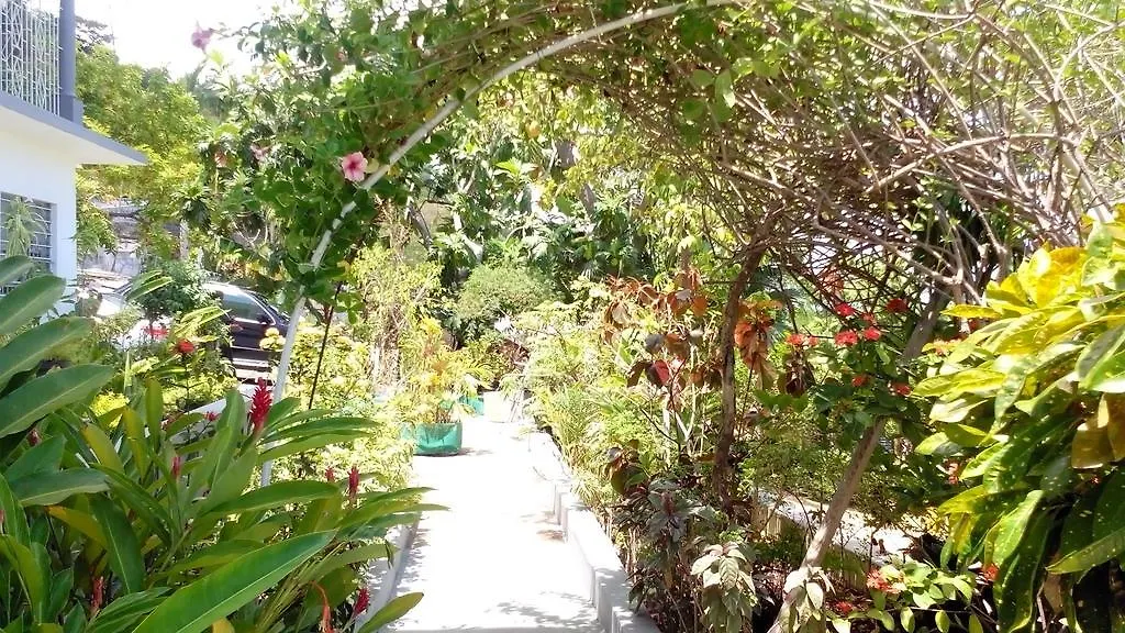 Palm View Guest House Montego Bay 2*,  Jamaica