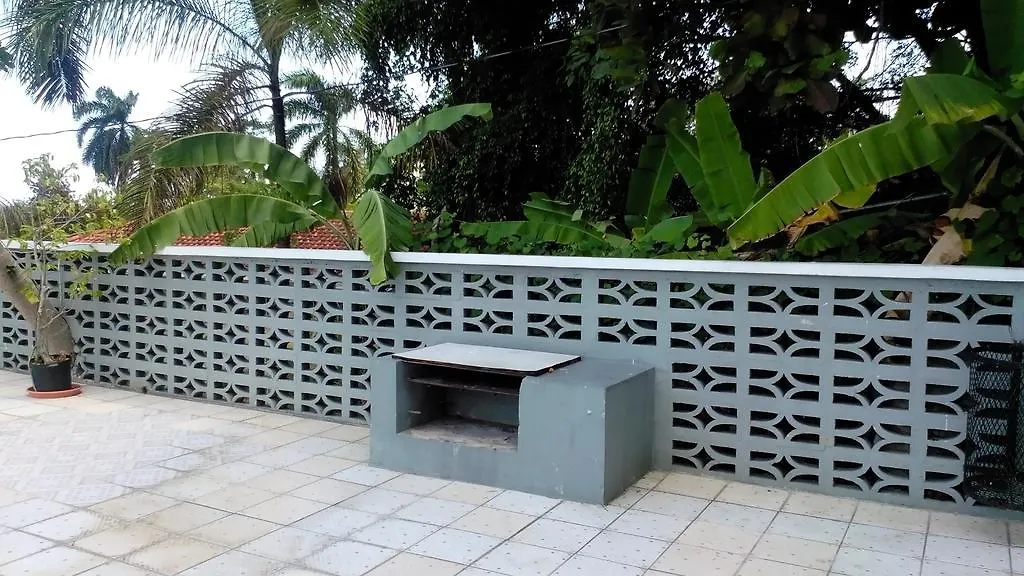 Palm View Guest House Montego Bay 2*,