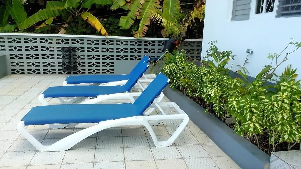 Palm View Guest House Montego Bay Hotel