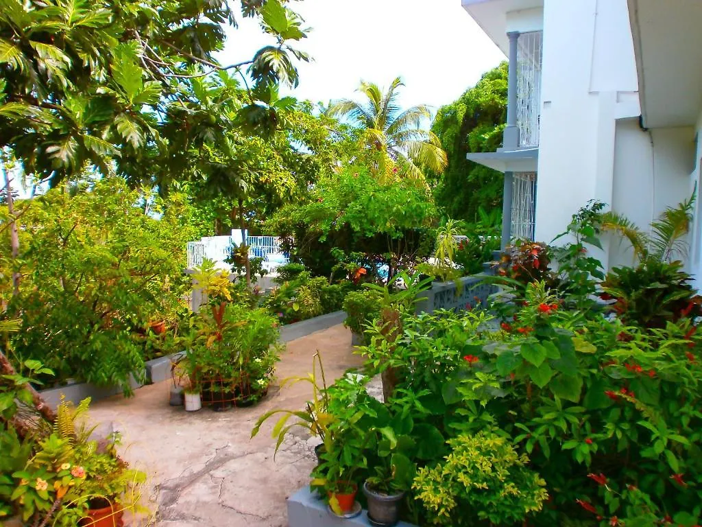 Palm View Guest House Montego Bay Hotel
